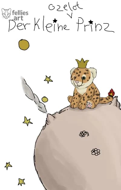 Le petit prince 