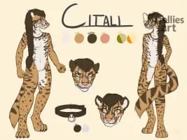 Refsheet