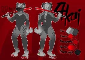 Refsheet Akai (SFW)