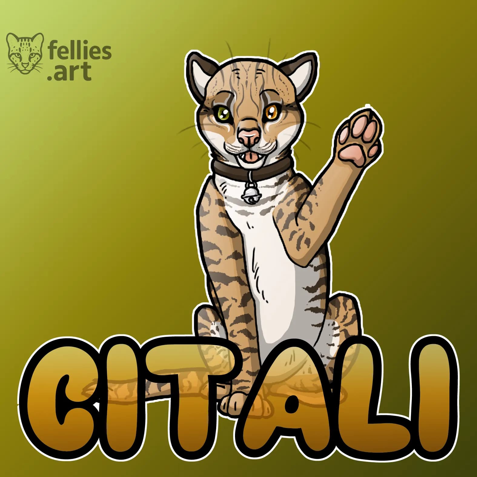 An ocelot sitting and waving with one front paw towards the viewer.