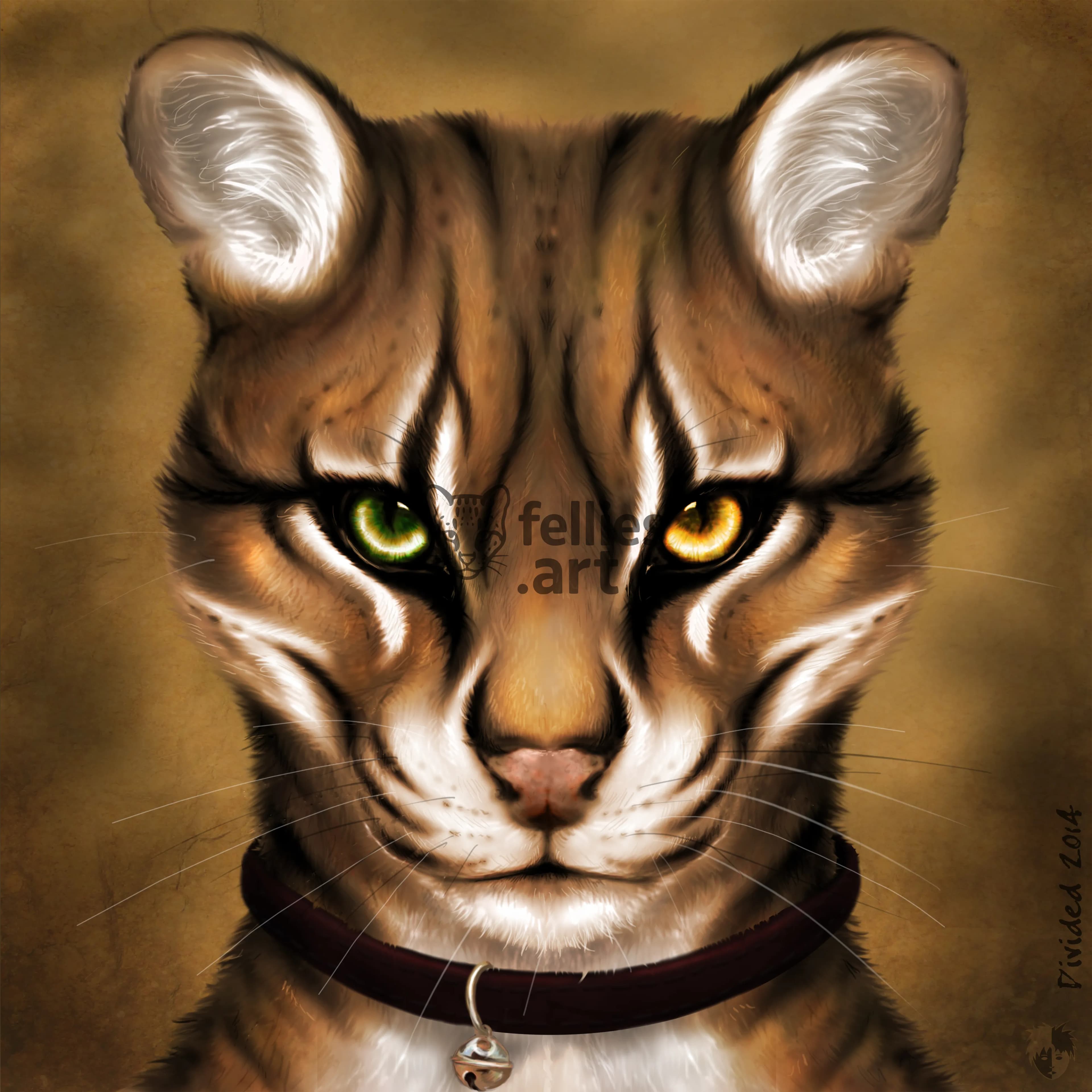 A feral ocelot is staring at the viewer. Only the head and neck are visible.