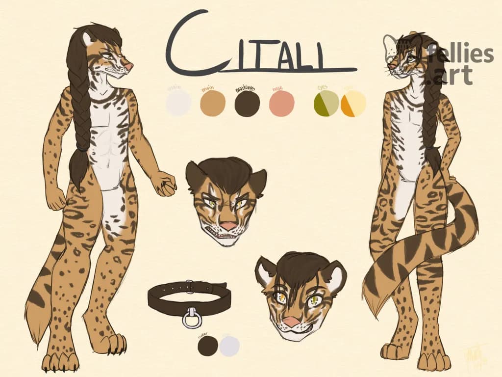 Refsheet